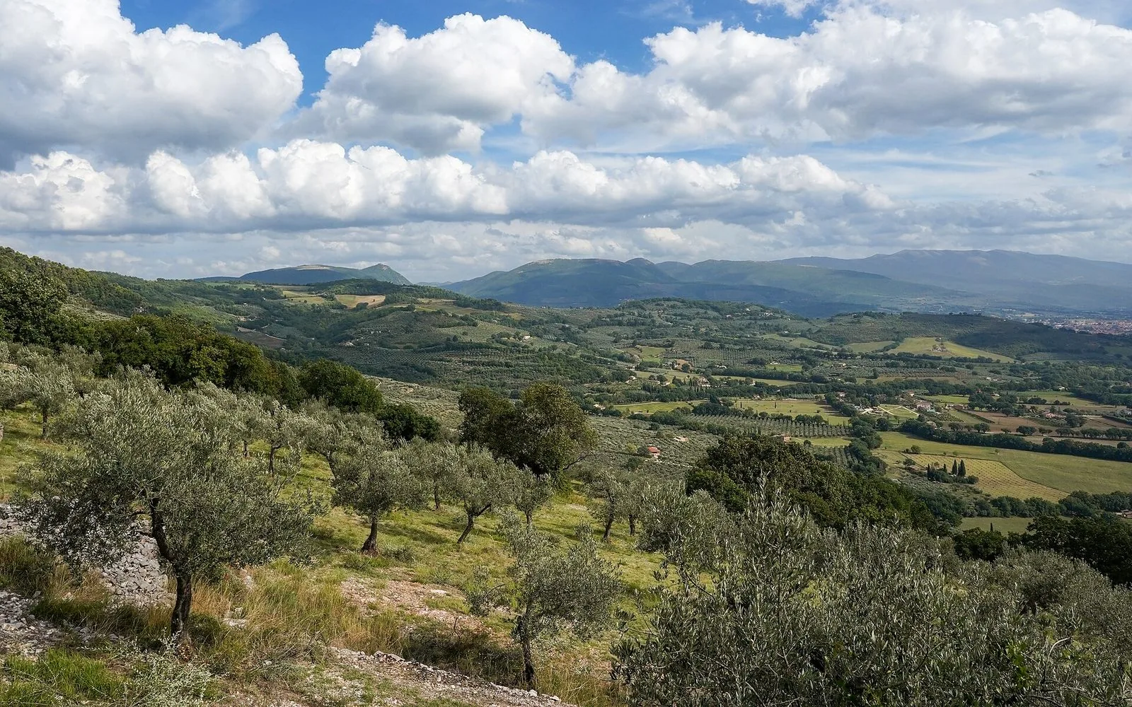 Uliveti sulle colline vicino a Spello con la valle coltivata e le montagne sullo sfondo sotto un cielo con nuvole